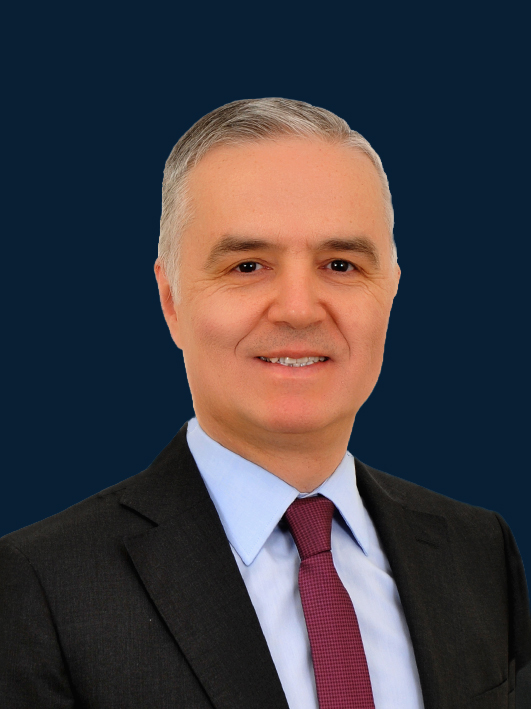 MEHMET ÖZKAYA,PhD
