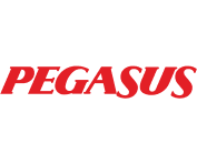 Pegasus